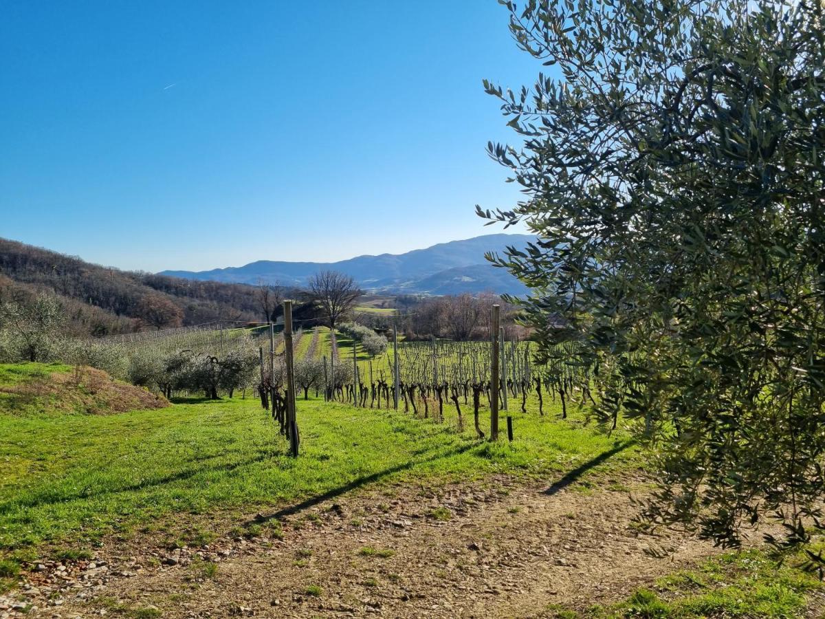 Walkandrace Sant'Agata  Exteriör bild